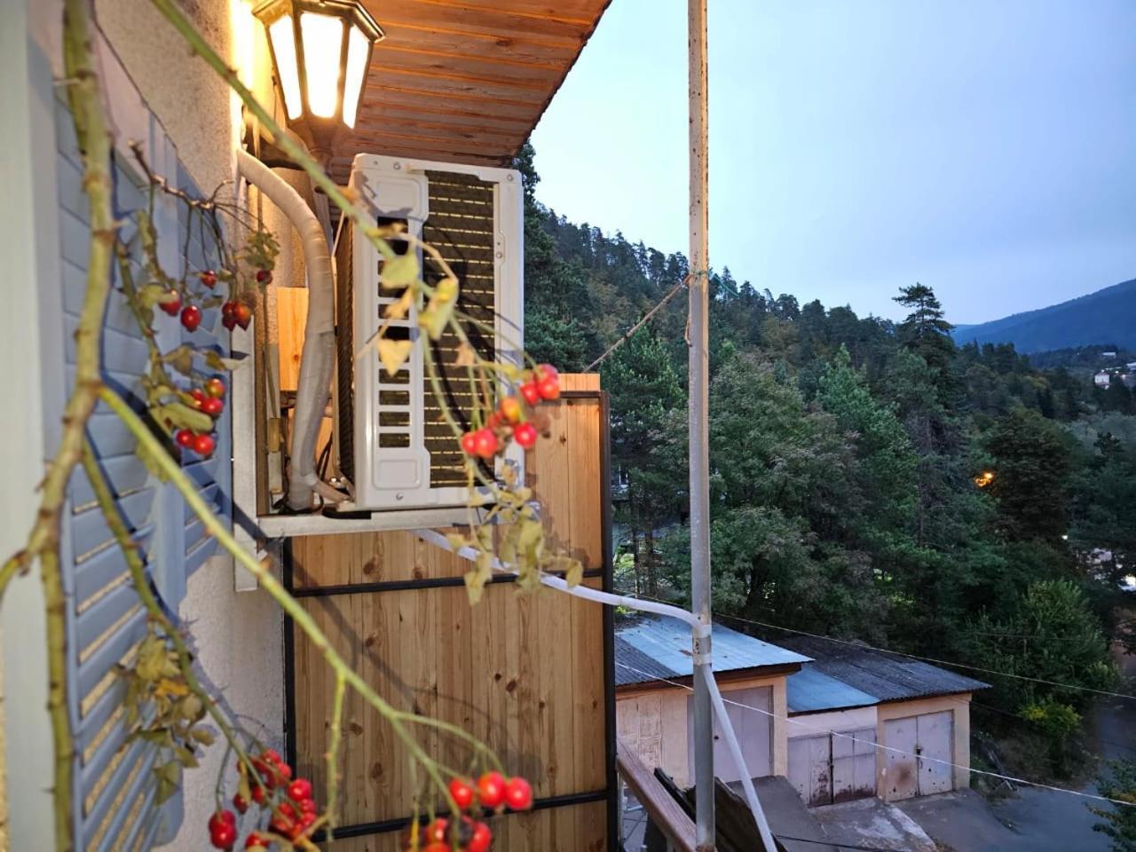 Guest House Likani 2017 Borjomi Værelse billede