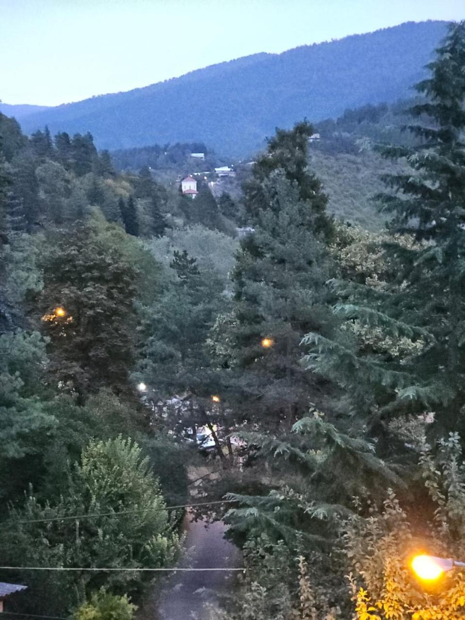 Guest House Likani 2017 Borjomi Værelse billede