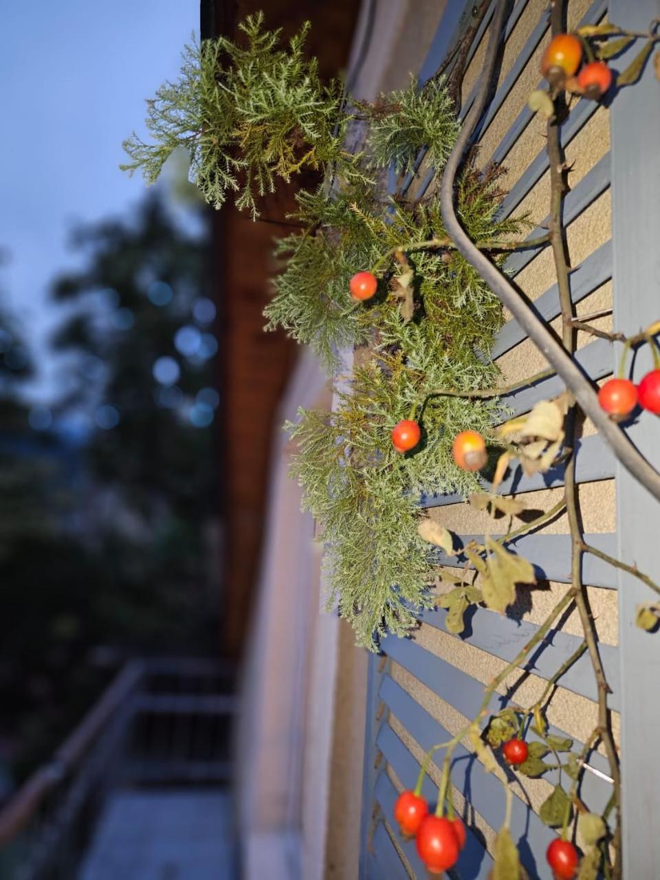 Guest House Likani 2017 Borjomi Værelse billede