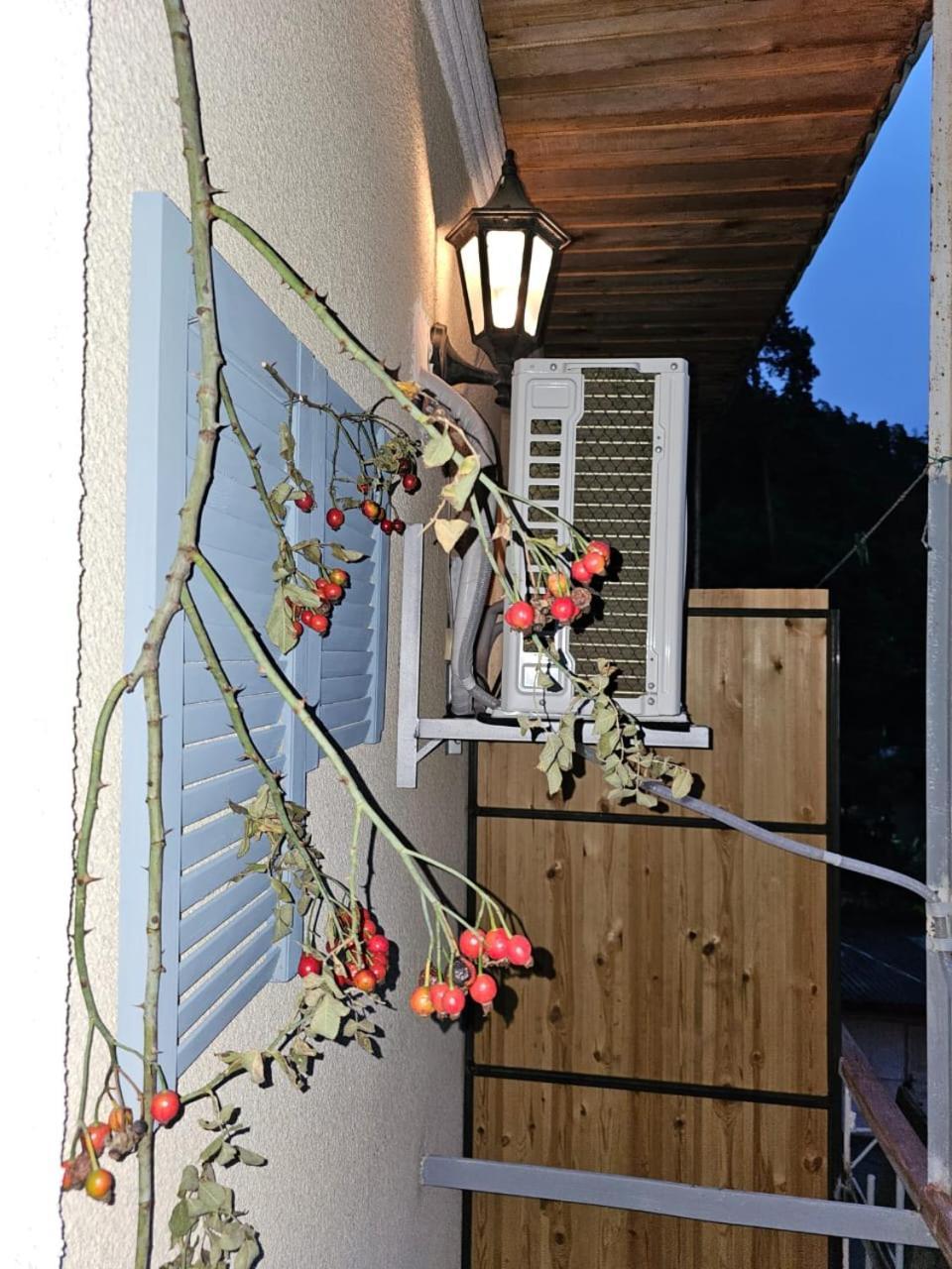 Guest House Likani 2017 Borjomi Værelse billede