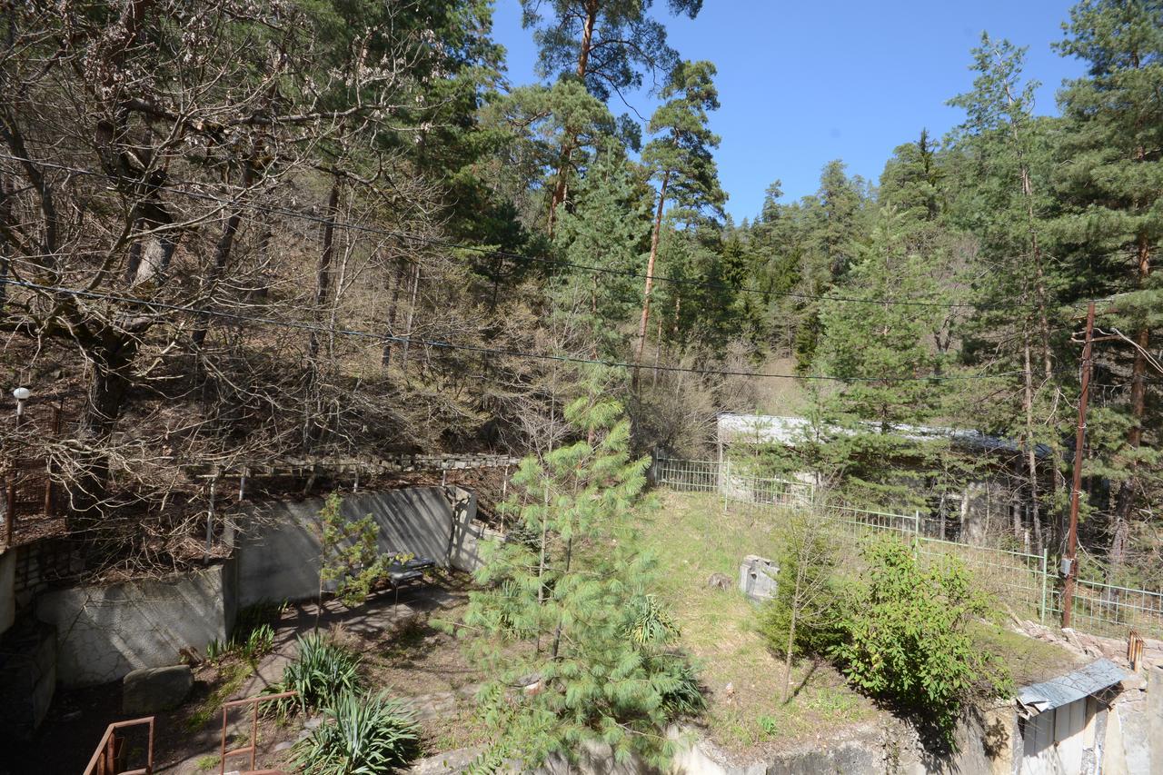 Guest House Likani 2017 Borjomi Eksteriør billede