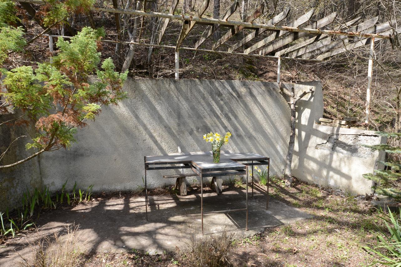 Guest House Likani 2017 Borjomi Eksteriør billede
