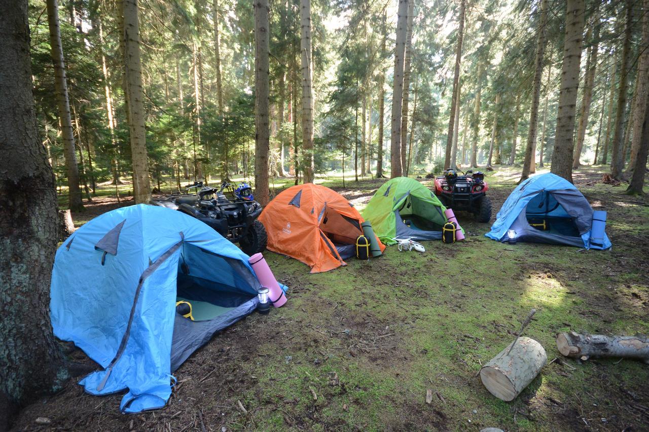 Guest House Likani 2017 Borjomi Eksteriør billede