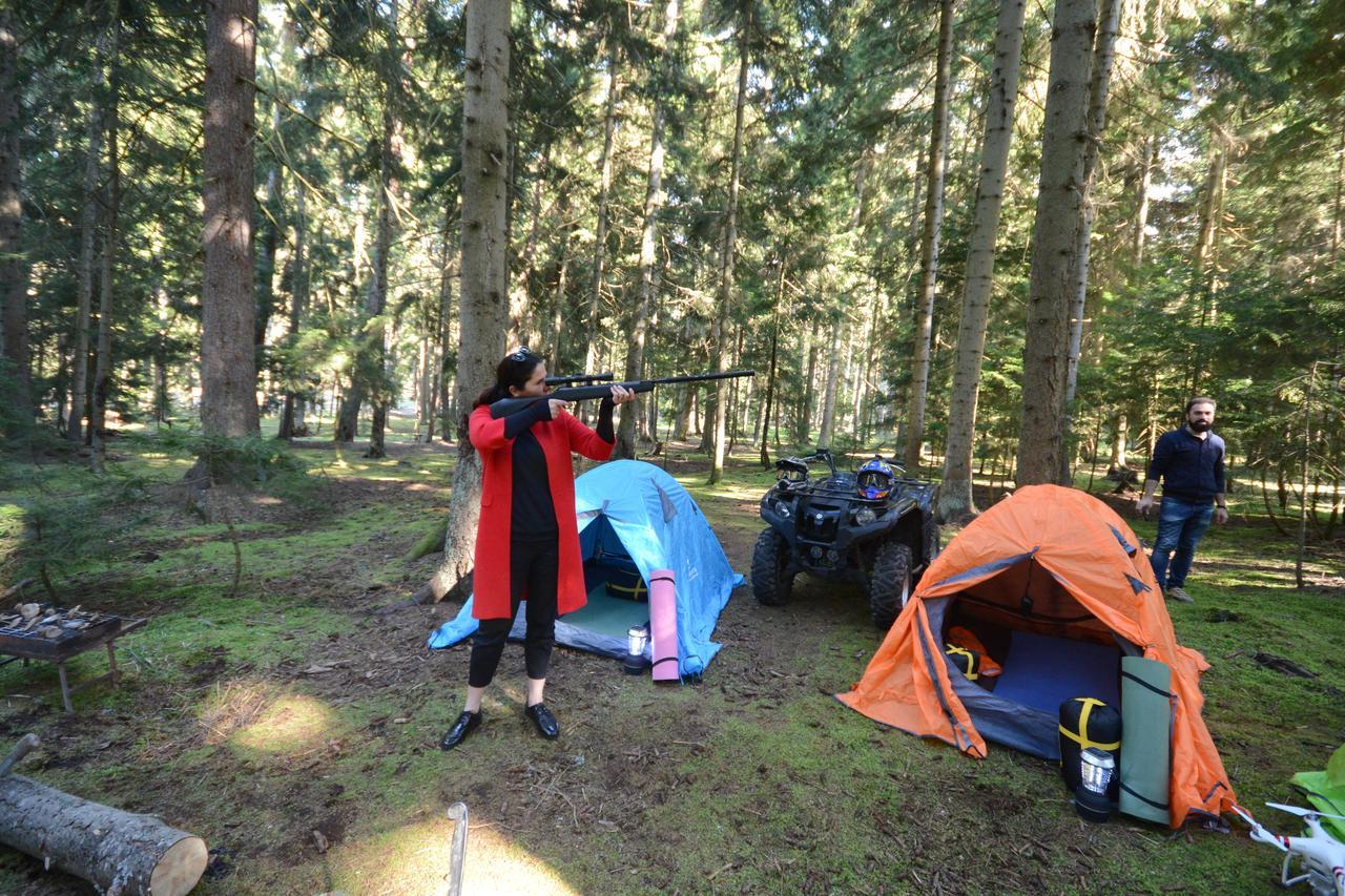 Guest House Likani 2017 Borjomi Eksteriør billede