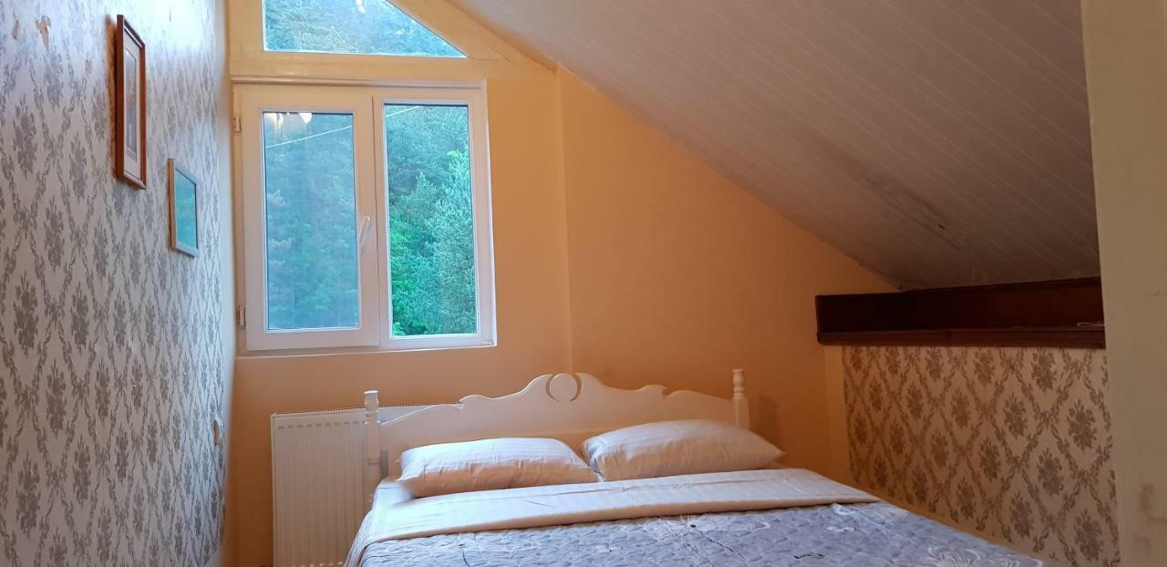 Guest House Likani 2017 Borjomi Eksteriør billede