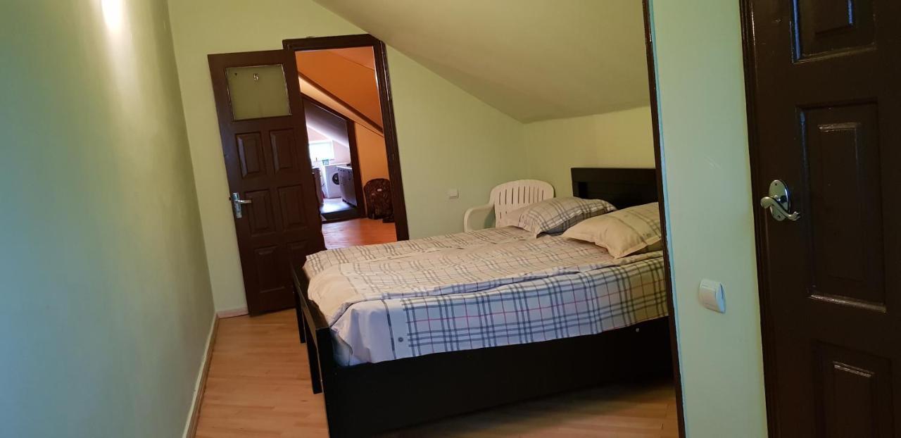Guest House Likani 2017 Borjomi Eksteriør billede